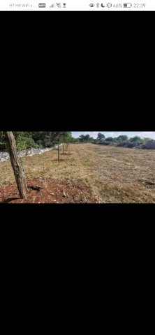 1650 m2 poljoprivredno Zemljiste u Istri