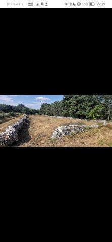 1650 m2 poljoprivredno Zemljiste u Istri