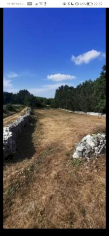 1650 m2 poljoprivredno Zemljiste u Istri