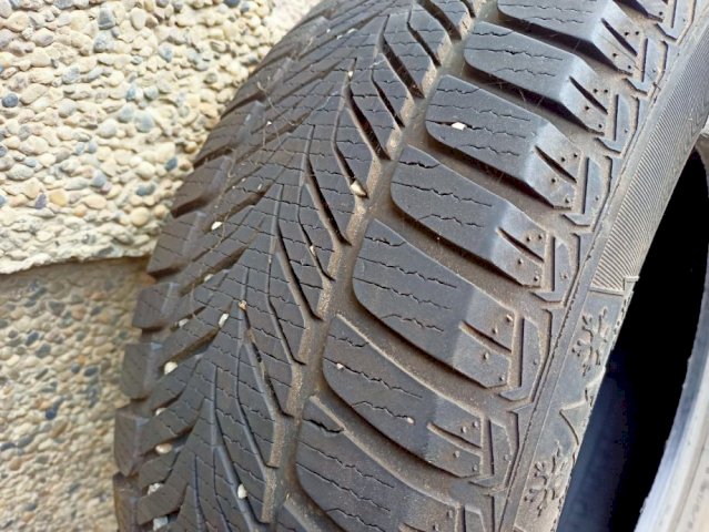 SAVA ESKIMO HP 205/65/15