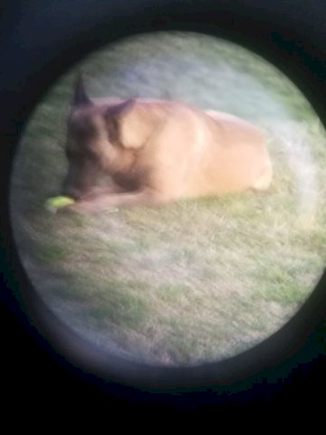 CARL ZEISS vrhunski dalekozor