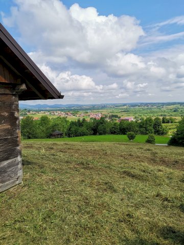 Drvena hrastova kuca