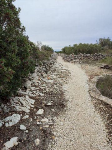 Drvenik Mali, Petomavar
