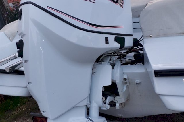 Evinrude e tec 150
