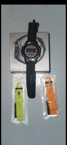 Garmin Fenix 5sephie