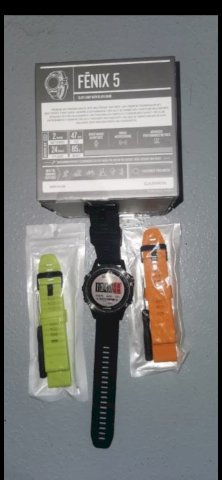 Garmin Fenix 5sephie