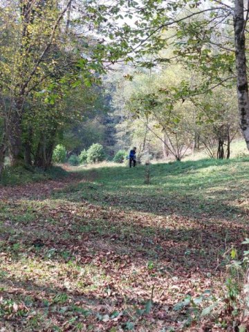 Gorski Kotar, zemljište s građevinskom dozvolom