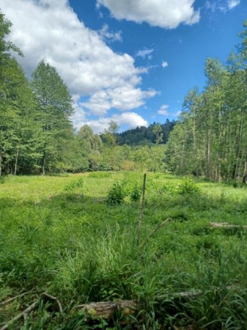 Gorski Kotar, zemljište s građevinskom dozvolom