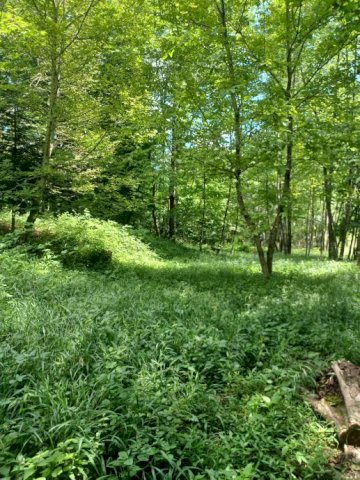 Gorski Kotar, zemljište s građevinskom dozvolom