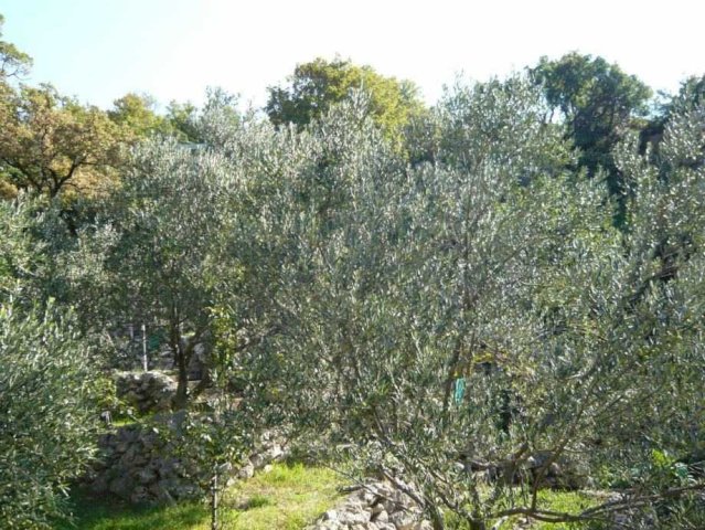 Građevinsko zemljište, Jablanac, 2949 m2 + 2079