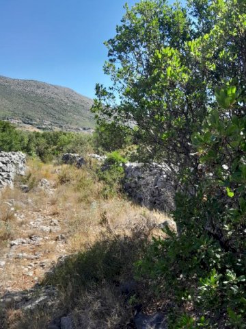 Građevinsko zemljište, Močići, 3002 m2