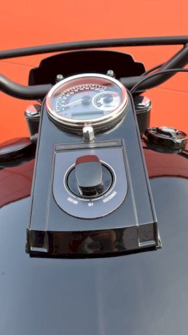 Harley Davidson Softail