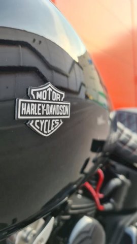 Harley Davidson Softail