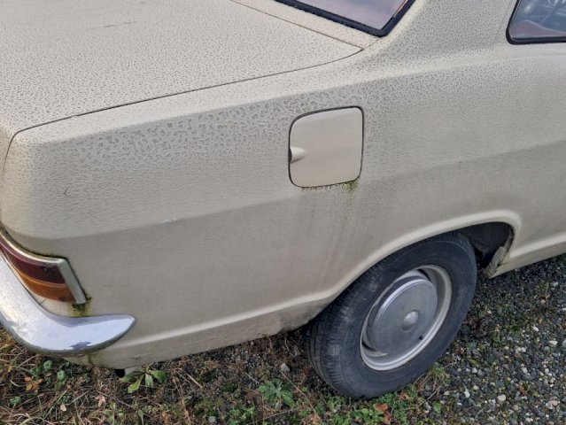 Kadett B
