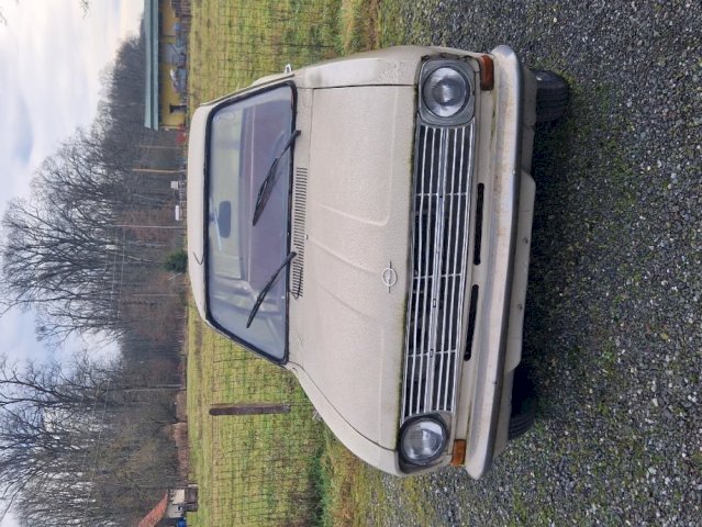 Kadett B