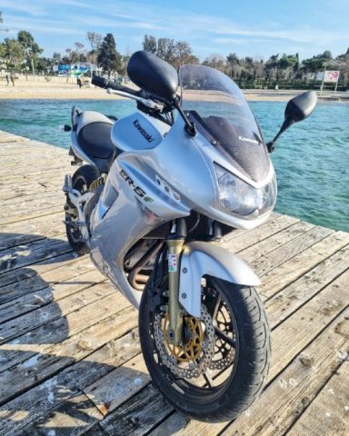 Kawasaki Er6f, 2006 god.