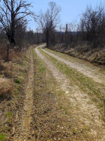 Kuća: Golinja, 30min od Zg, 250m2 15ha zemlje