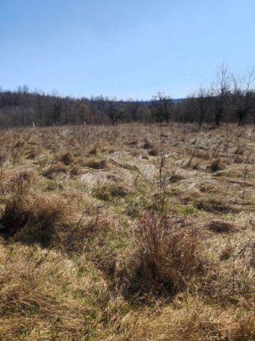 Kuća: Golinja, 30min od Zg, 250m2 15ha zemlje