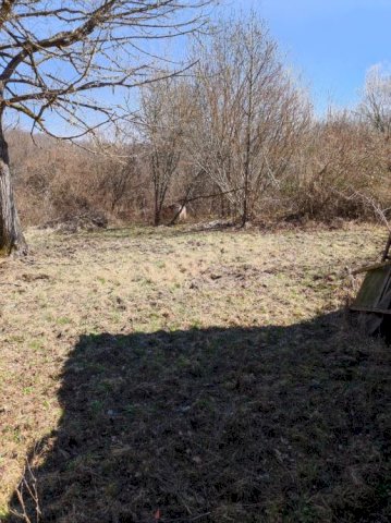 Kuća: Golinja, 30min od Zg, 250m2 15ha zemlje