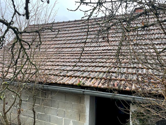 Kuća Od Hrastovine, Otporna Na Potrese, Ekološk