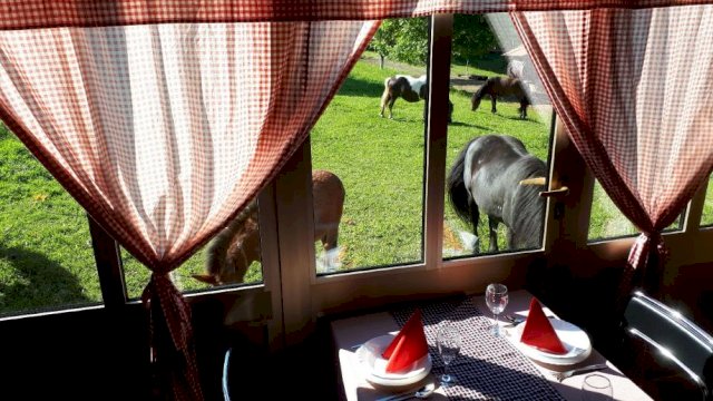 Kuca za odmor sa bazenom