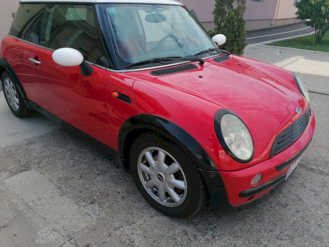 Mijenjam za labudicu