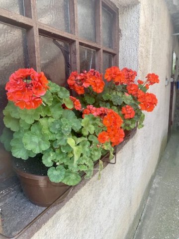 Obiteljska Kuća: Varaždinske Toplice