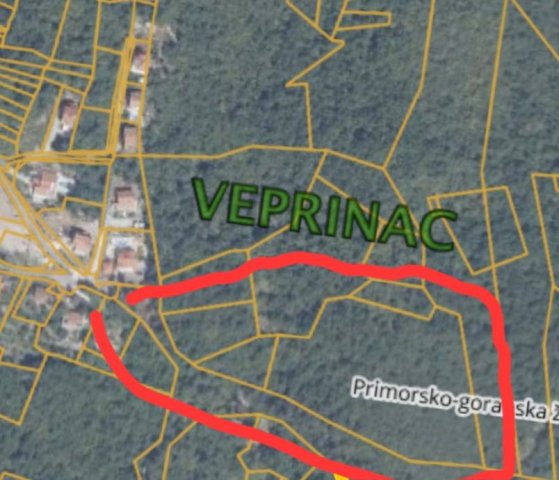 PRILIKA Poljoprivredno zemljište, Veprinac, 1341