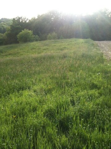 Pojatno, Građevinsko Zemljište 1.500 M2
