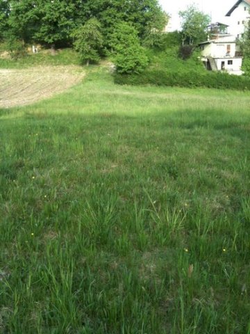 Pojatno, Građevinsko Zemljište 1.500 M2
