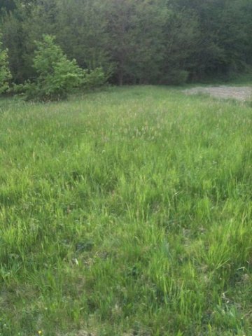 Pojatno, Građevinsko Zemljište 1.500 M2
