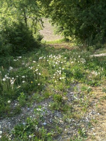 Pojatno, Građevinsko Zemljište 1.500 M2