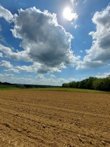 Poljoprivredno Zemljiste 5.5 Ha + Građevinsko