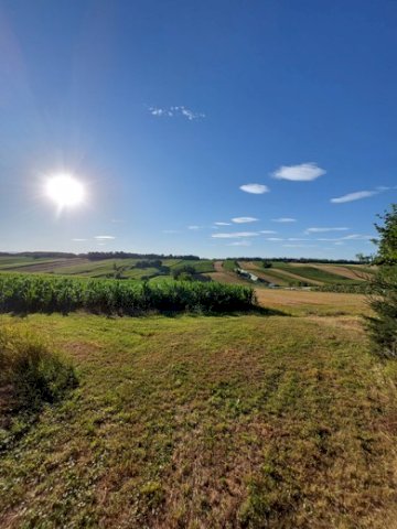 Poljoprivredno Zemljiste 5.5 Ha + Građevinsko