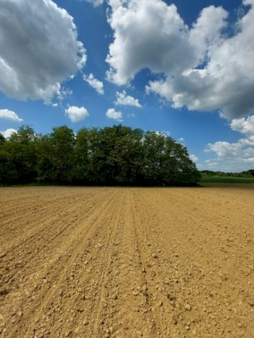Poljoprivredno Zemljiste 5.5 Ha + Građevinsko