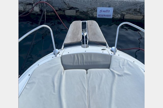 SEA RAY 230 SS