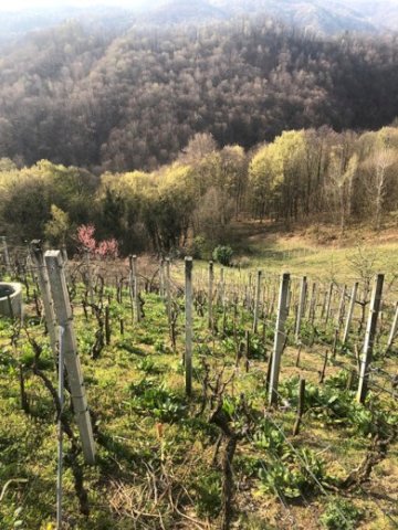 Samobor, Otruševec, Zemljište