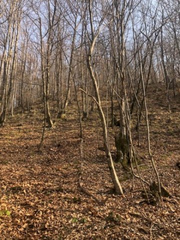 Samobor, Otruševec, Zemljište