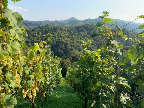 Samobor, Otruševec, Zemljište