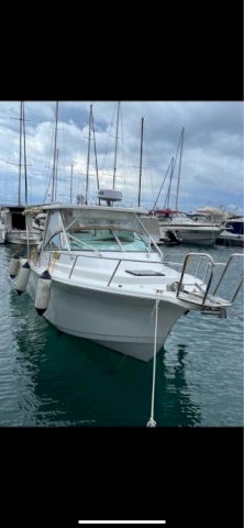Sea Pro 27 (Boston Whaler)