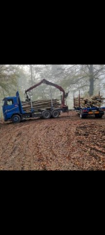 VOLVO FH12 ŠUMAR SA PRIKOLICOM