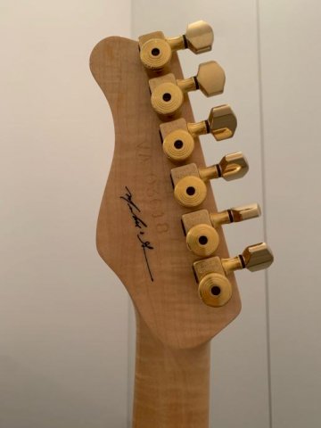 Valley arts custom pro elektricna gitara