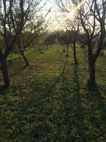 Vikendica (Stružec Posavski) , 36 m2