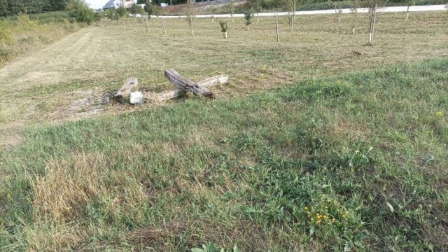 Voćnjak Vrt Livada