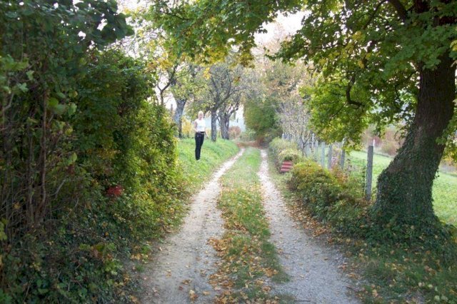ZEMLJIŠTE - SVETA JANA, DRAGA SVETOJANSKA
