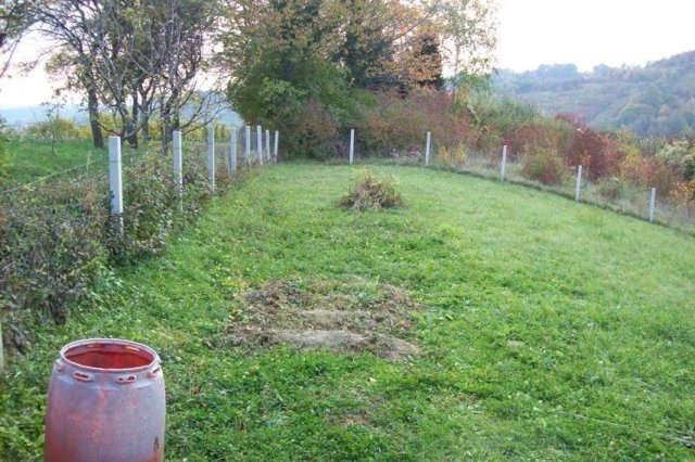 ZEMLJIŠTE - SVETA JANA, DRAGA SVETOJANSKA