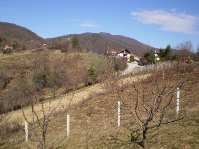 ZEMLJIŠTE - SVETA JANA, DRAGA SVETOJANSKA