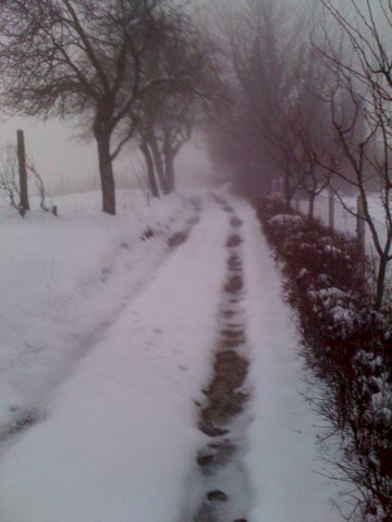 ZEMLJIŠTE - SVETA JANA, DRAGA SVETOJANSKA