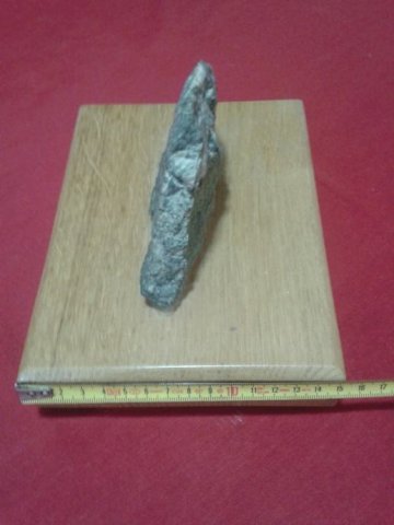 ZLATNA RUDA