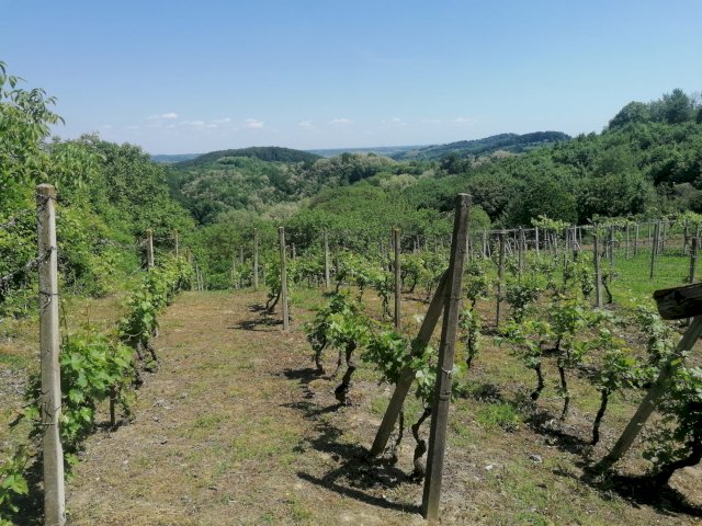 Zemljište Sveti Ivan Zelina Gornje Orešje099525